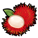 Sweet Rambutan